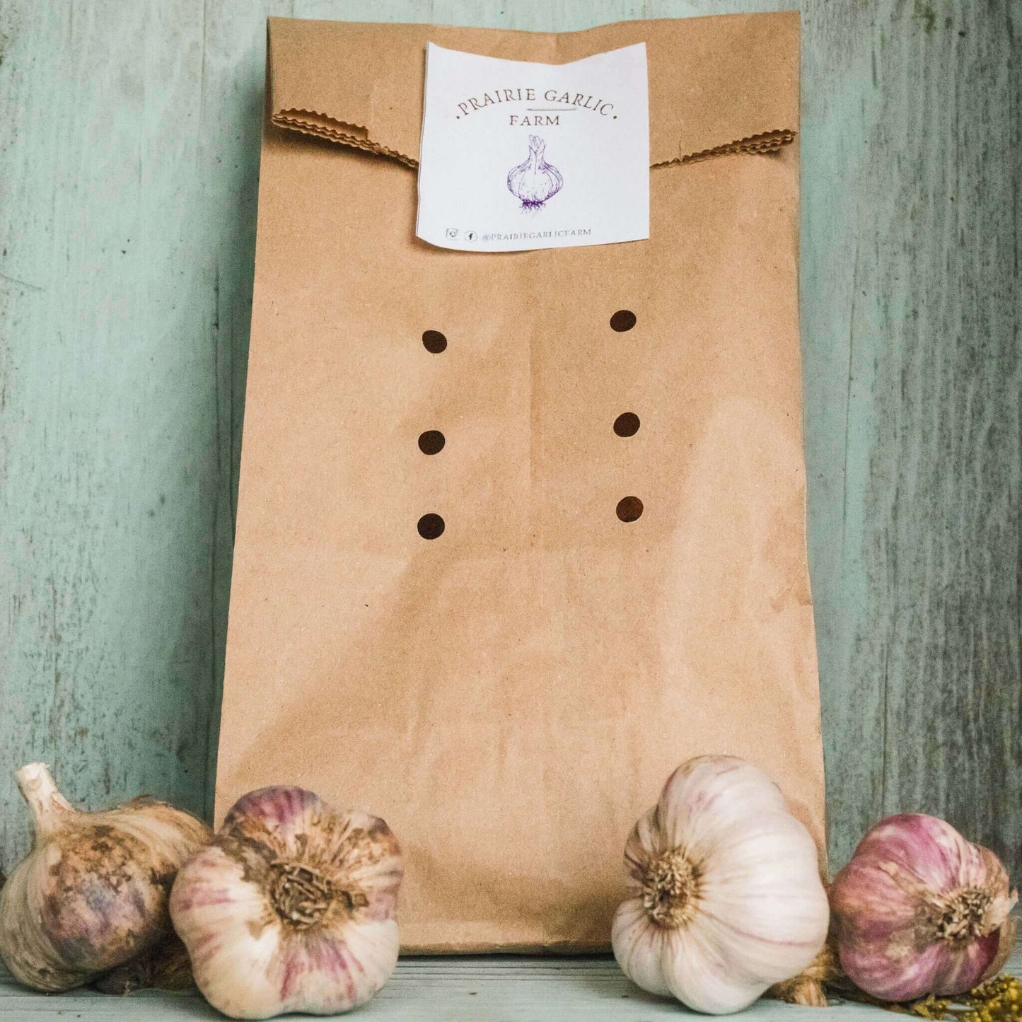 packaged fresh organic garlic by the pound