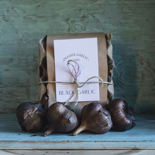 Black Garlic - 4 Pack